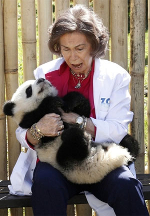 penalizacion panda